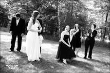 Enlarge photo 244