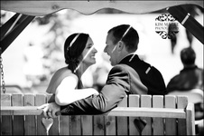 Enlarge photo 252