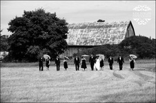 Enlarge photo 262
