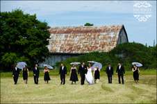 Enlarge photo 263