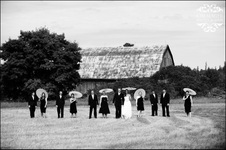 Enlarge photo 264