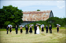 Enlarge photo 266