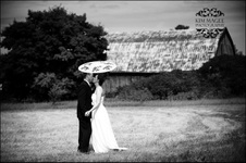 Enlarge photo 273