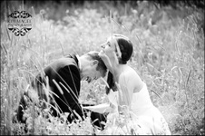 Enlarge photo 294