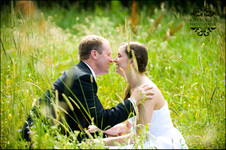 Enlarge photo 295