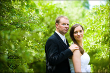 Enlarge photo 303