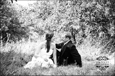 Enlarge photo 305