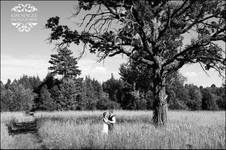 Enlarge photo 326