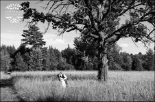Enlarge photo 327