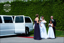 Enlarge photo 153