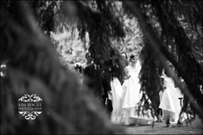 Enlarge photo 154