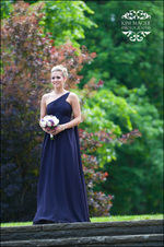 Enlarge photo 181