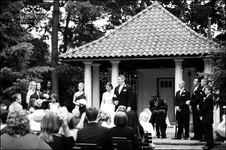 Enlarge photo 228