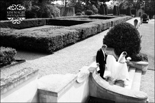 Enlarge photo 278
