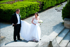 Enlarge photo 283