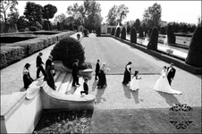 Enlarge photo 292
