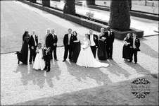 Enlarge photo 294