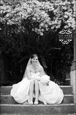 Enlarge photo 317