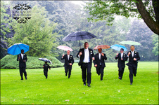 Enlarge photo 347