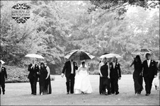 Enlarge photo 351