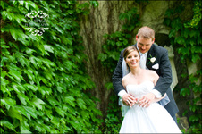 Enlarge photo 378