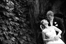 Enlarge photo 379