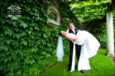 Enlarge photo 380