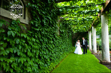 Enlarge photo 382