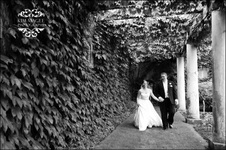 Enlarge photo 383