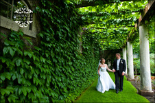 Enlarge photo 384