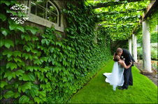Enlarge photo 385