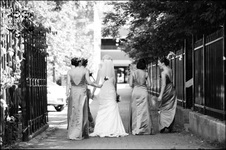 Enlarge photo 243