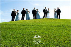 Enlarge photo 255