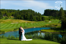 Enlarge photo 282
