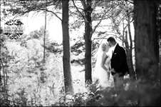 Enlarge photo 319