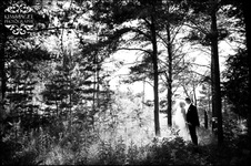 Enlarge photo 322