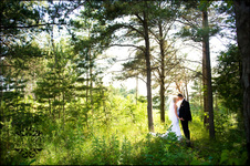Enlarge photo 324