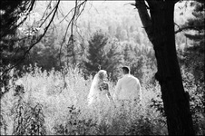 Enlarge photo 334