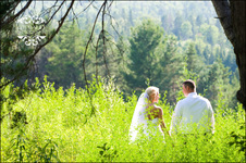 Enlarge photo 335
