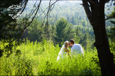 Enlarge photo 336