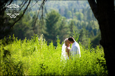 Enlarge photo 337