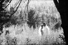 Enlarge photo 339