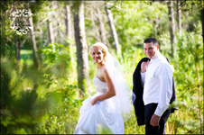 Enlarge photo 340