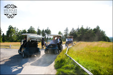 Enlarge photo 341