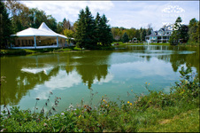 Enlarge photo 58