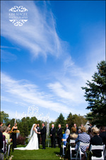 Enlarge photo 181