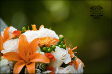 Enlarge photo 218