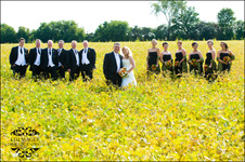Enlarge photo 232
