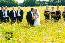 Enlarge photo 234