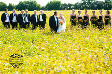 Enlarge photo 235